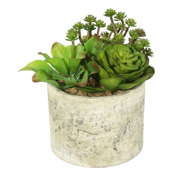 Dare2Decor 8 in. Succulent Arrangement DA1235933 - main